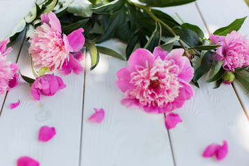 Fototapeta premium Beautiful soft pink peonies in vase on white wooden background outdoors. Summer flowers in blossom. Nature, fresh pink flowers concept