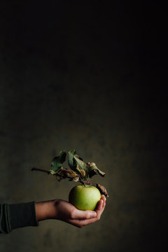 Handing holding out a green apple with leaves against dark background