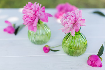 Beautiful soft pink peonies in vase on white wooden background outdoors. Summer flowers in blossom. Nature, fresh pink flowers concept
