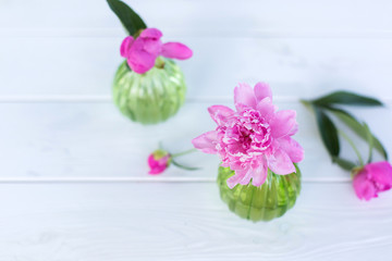 Beautiful soft pink peonies in vase on white wooden background outdoors. Summer flowers in blossom. Nature, fresh pink flowers concept