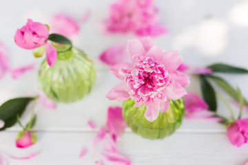 Beautiful soft pink peonies in vase on white wooden background outdoors. Summer flowers in blossom. Nature, fresh pink flowers concept