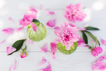 Beautiful soft pink peonies in vase on white wooden background outdoors. Summer flowers in blossom. Nature, fresh pink flowers concept