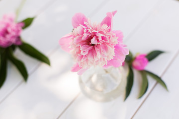Beautiful soft pink peonies in vase on white wooden background outdoors. Summer flowers in blossom. Nature, fresh pink flowers concept