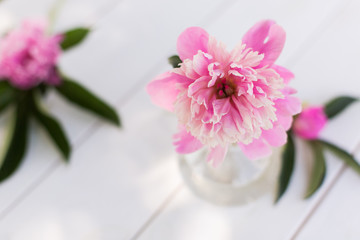 Beautiful soft pink peonies in vase on white wooden background outdoors. Summer flowers in blossom. Nature, fresh pink flowers concept