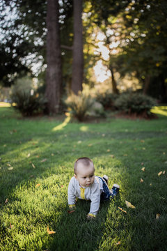 Mixed Baby Playing In The Park