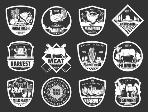 Farm dairy and cattle meat or fowl products icons