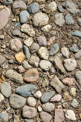 Stone Ground Background and Texture
