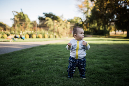 Mixed Baby Playing In The Park