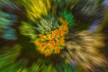 Autumn explosion