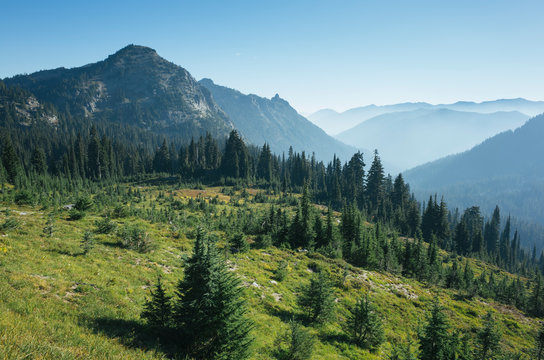 View of remote alpine meadow in Fall, Cascade Range in distance, near Chinook Pass, Washington