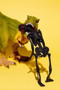 Black skeleton and dinosaur for Halloween