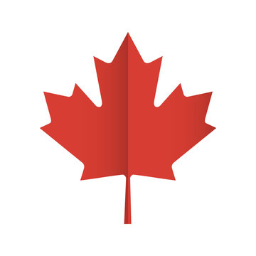Red maple leaf Canadian symbol. Vector icon