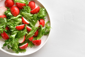 Radish salad with lettuce leaves