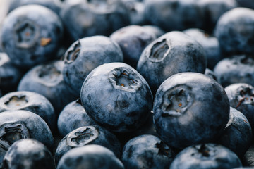 Fresh blueberry background. Texture blueberry berries close up. Vegan and vegetarian concept.