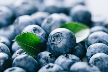 Fresh blueberry background. Texture blueberry berries close up. Vegan and vegetarian concept.