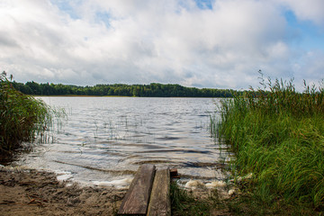 Naklejka premium deep dark forest lake with reflections of trees and green foliage