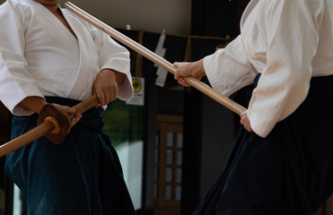 古流武術の演武