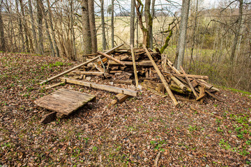 illegal dumpster in the woods forest in summer