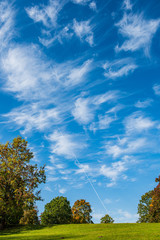summer sun lit green forest park for relaxsation