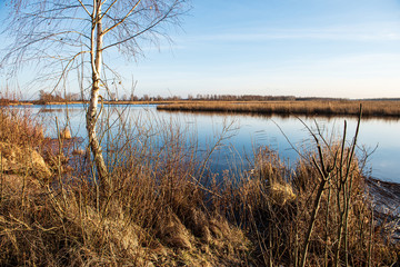 deep dark forest lake with reflections of trees and green foliage