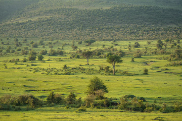 Beautiful landscapes in Africa. Untouched nature