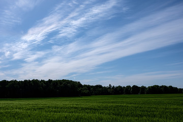 Obraz premium blue sky with white clouds over countryside landscape