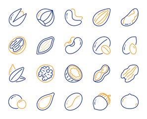 Nuts and seeds line icons. Hazelnut, Almond nut and Peanut. Sunflower and pumpkin seeds, Brazil nut, Pistachio icons. Walnut, Coconut and Cashew nuts. Pecan, peas, macadamia. Vector