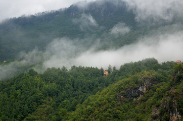 mountain valley, forest, Tara river canyon in Durmitor National Park, Montenegro