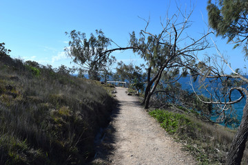 Forest way trail with an amazing ocean scenery at Noosa National Park