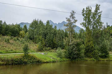 Obraz premium fresh green summer spring foliage textured background with blur