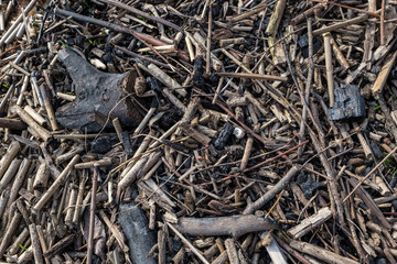 dry old grass bents in water texture
