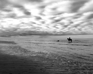 Fototapeta na wymiar Horse rider and dog on beach black and white cloud cover 