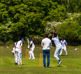Cricket on a village green in the New Forest, Hampshire
