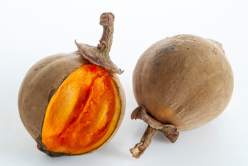Zapote Photos Royalty Free Images Graphics Vectors Videos