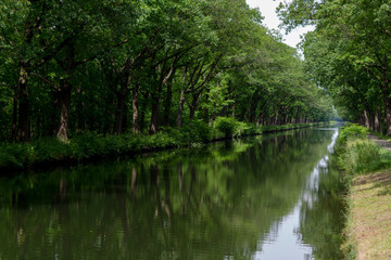 Waterways in Belgium, manmade canal with oak trees alley