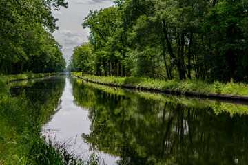 Fototapeta na wymiar Waterways in Belgium, manmade canal with oak trees alley