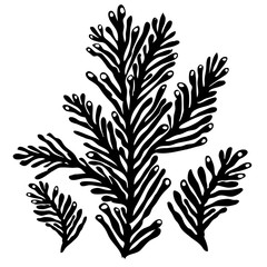 Monochrome stylised silhouette of sea koral isolated on white background. Black ink hand drawn graphic. Element for design baby fabrics, wrapping paper, printing on clothes, covers books, postcards © Rina Ka