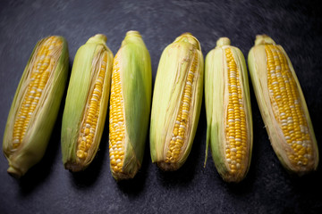 corn on the cob