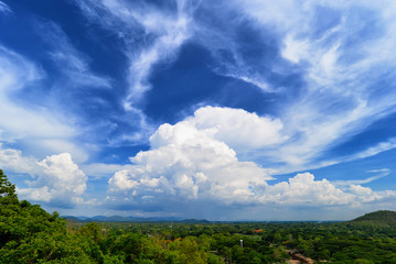 Fototapeta na wymiar White huge cloud above the tree forest and blue sky