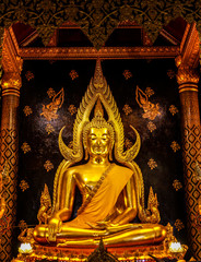 Golden buddha statue in Thai temple, with Have a tree cover