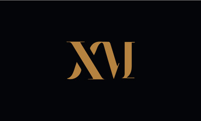 XM logo design template vector illustration