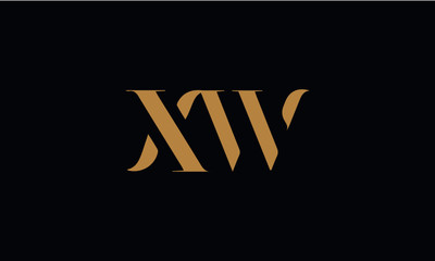 XW logo design template vector illustration