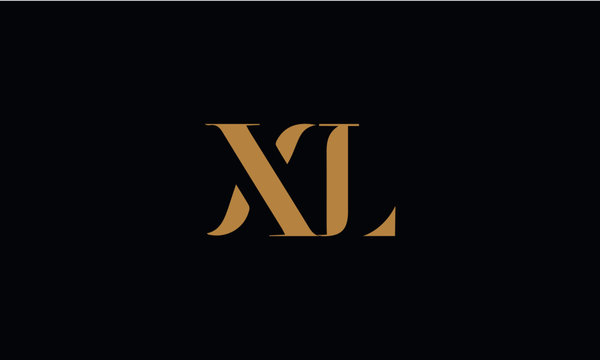 XL logo design template vector illustration