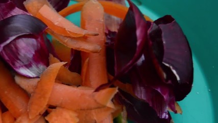 Organic waste on green plastic plate pan left