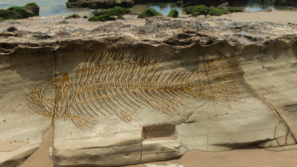 Photomontage of a large fantasy fish fossil on the layers that form on a stone on the beach © alejomiranda