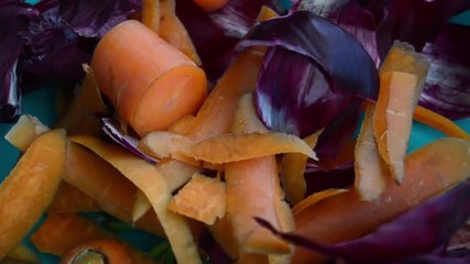 organic waste on green plastic plate rottating shot