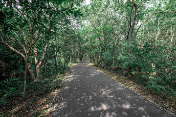 Bang Kachao:May26,2019,atmosphere in park near Bangkok,with people visiting nature,cycling, couples,families with young children,friends group to relax during the holiday,area Bang Nam Phueng,Thailand