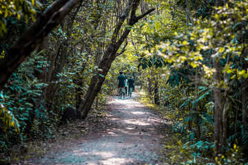 Blurred background of people who are cycling fast, exercising in the park in the morning - evening, the atmosphere is surrounded by nature.