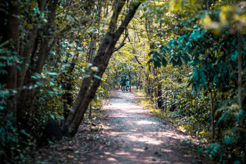 Blurred background of people who are cycling fast, exercising in the park in the morning - evening, the atmosphere is surrounded by nature.
