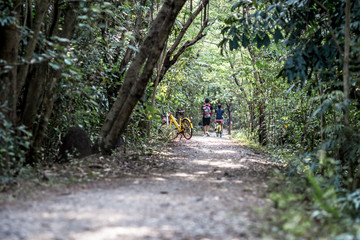 Blurred background of people who are cycling fast, exercising in the park in the morning - evening, the atmosphere is surrounded by nature.